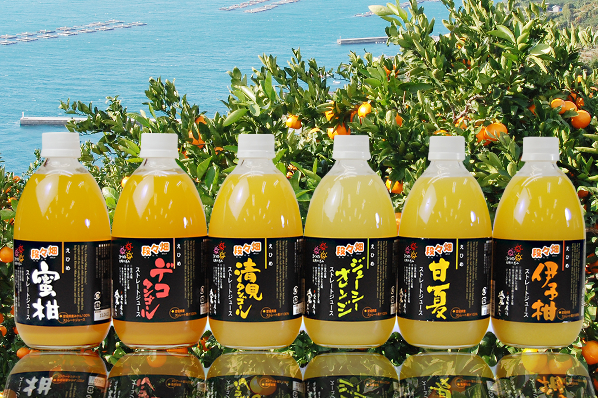 愛媛県産100％ストレート果汁ジュース