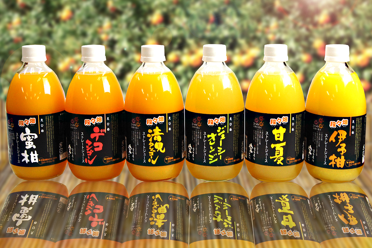 愛媛県産100％ストレート果汁ジュース 詰め合わせジュース